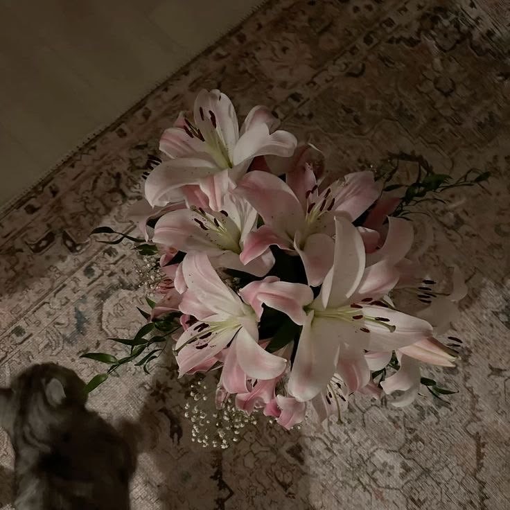 لانا العتيبي