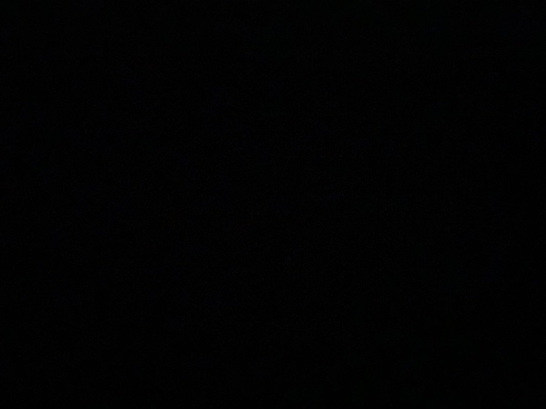 رهف علي سارح