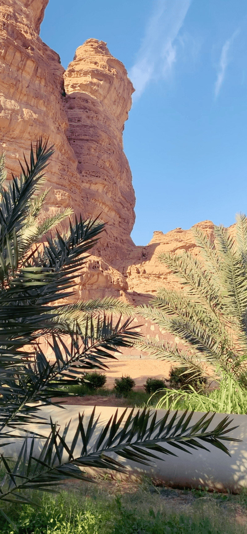فايز شينان الغامدي