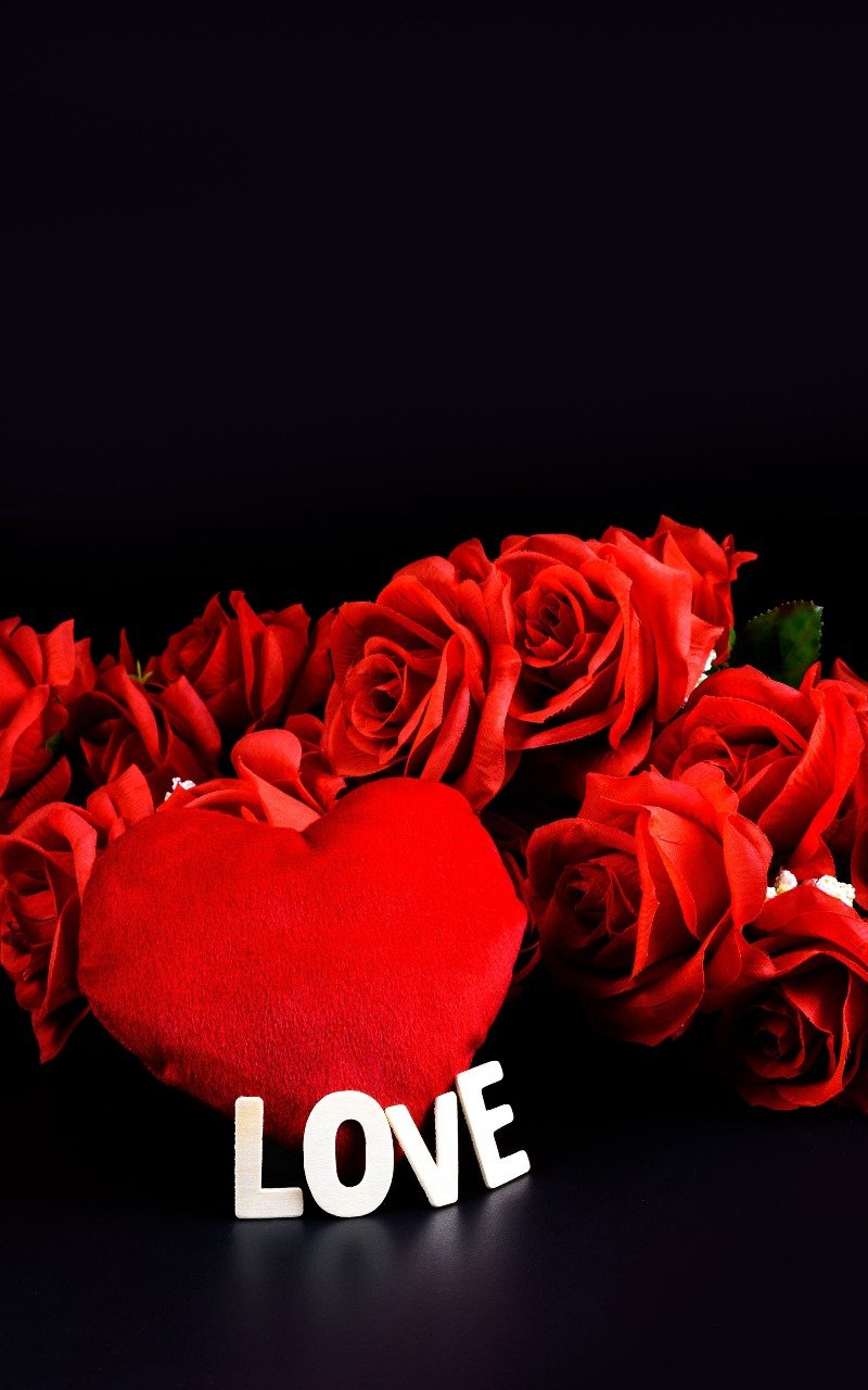 Noor M