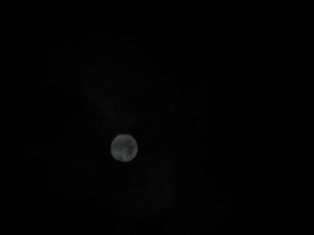 رنيم محمد عسيري .