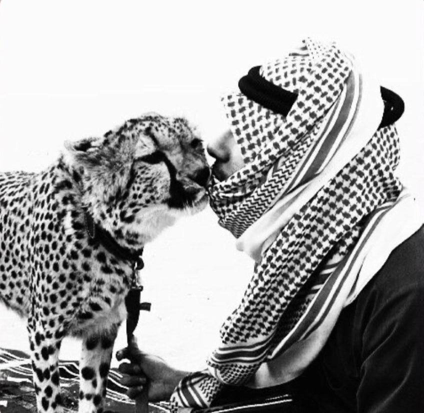 عيسى الشمري