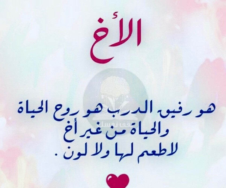 مريم عيسى المطلق