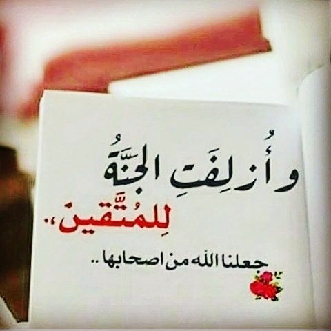 محمد سعود