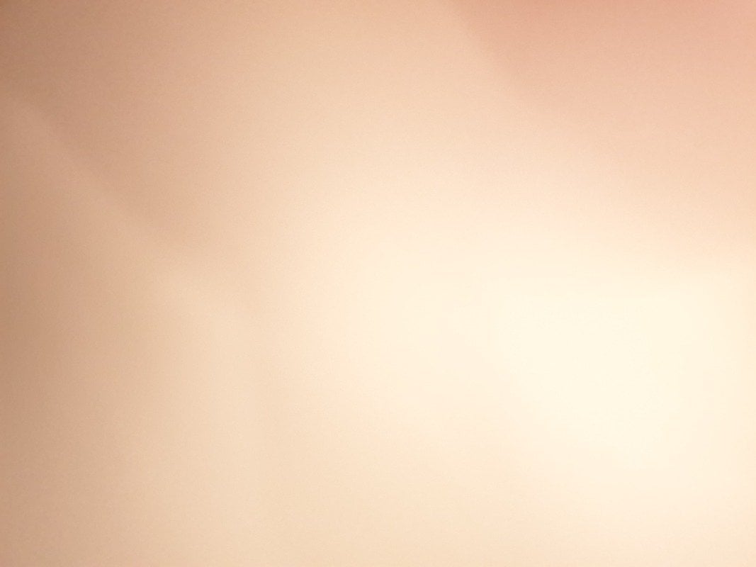 سوسن ابوبكر