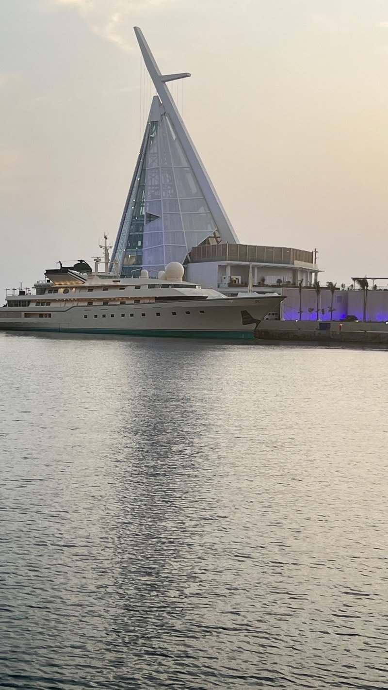 محمد العامري