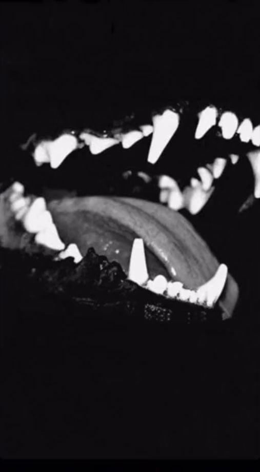 روفان الخثعمي