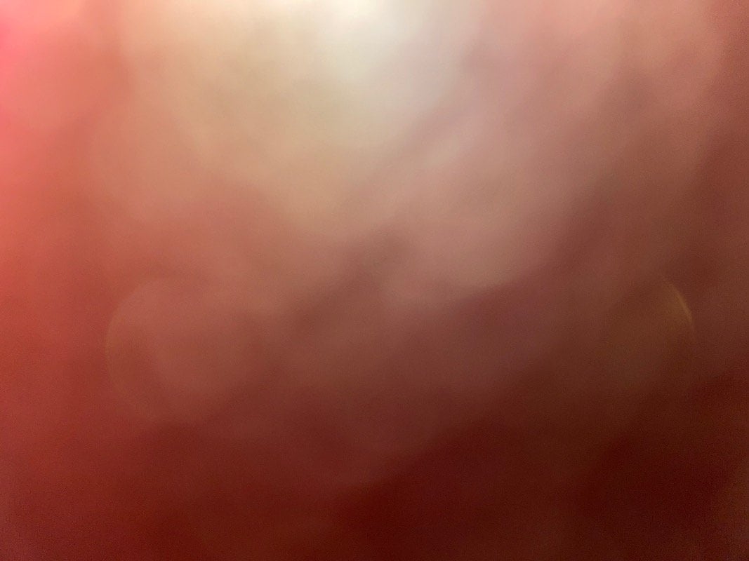 شروق سليمان