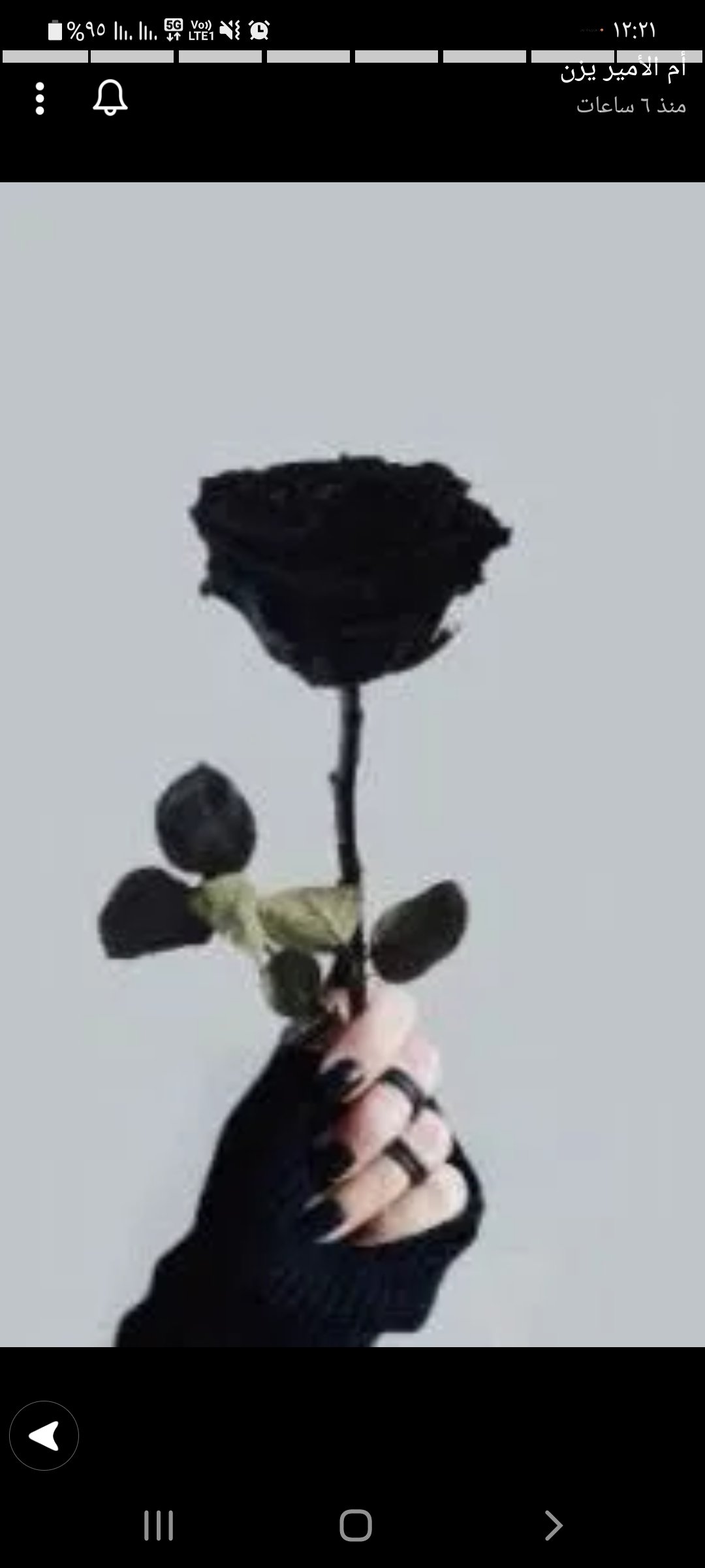 فوز الحارثي