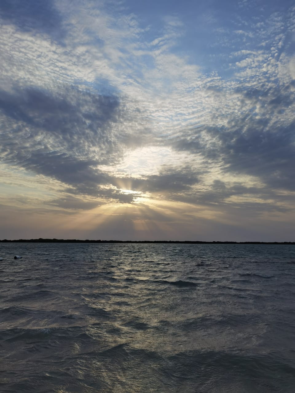 أسامةنيمي سيكالي