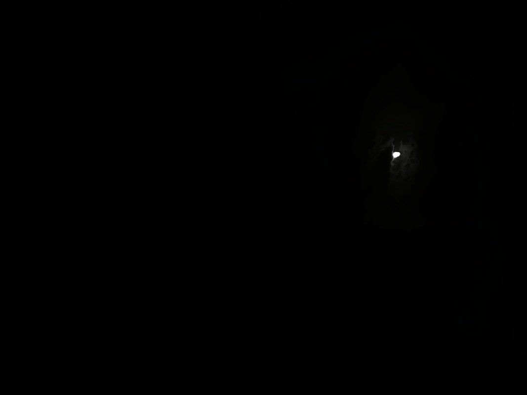 عمك عبد المجيد الشنب