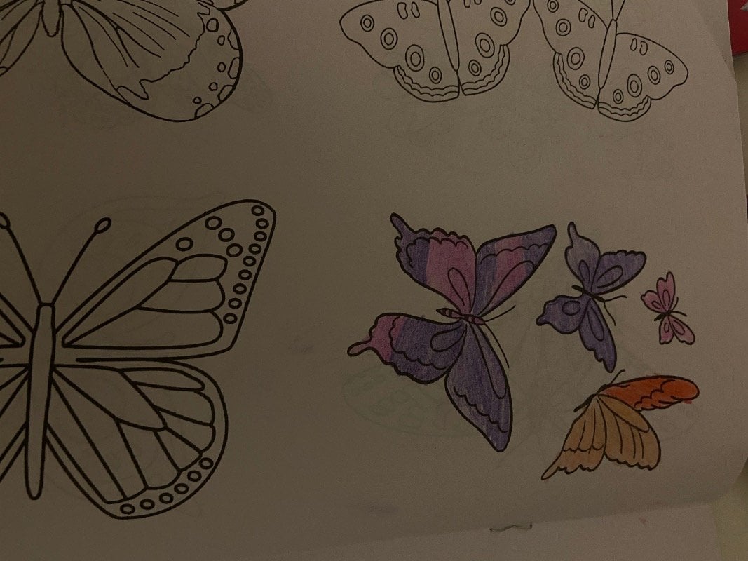 جواهر السبيعي