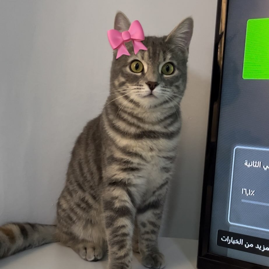customer