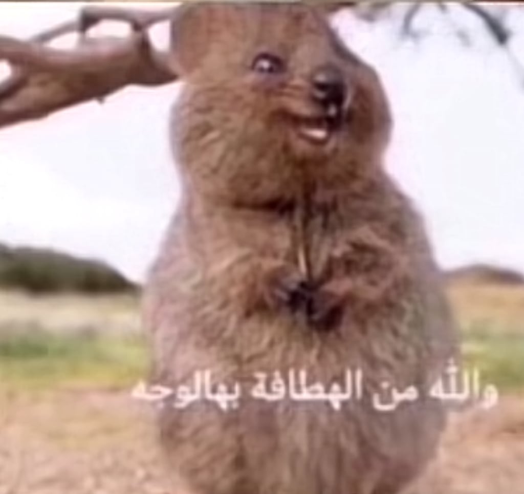 خلود خالد