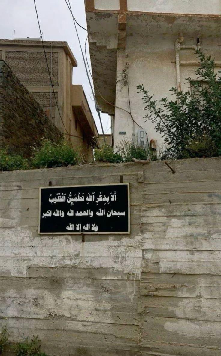 ابو نايف ابو نايف