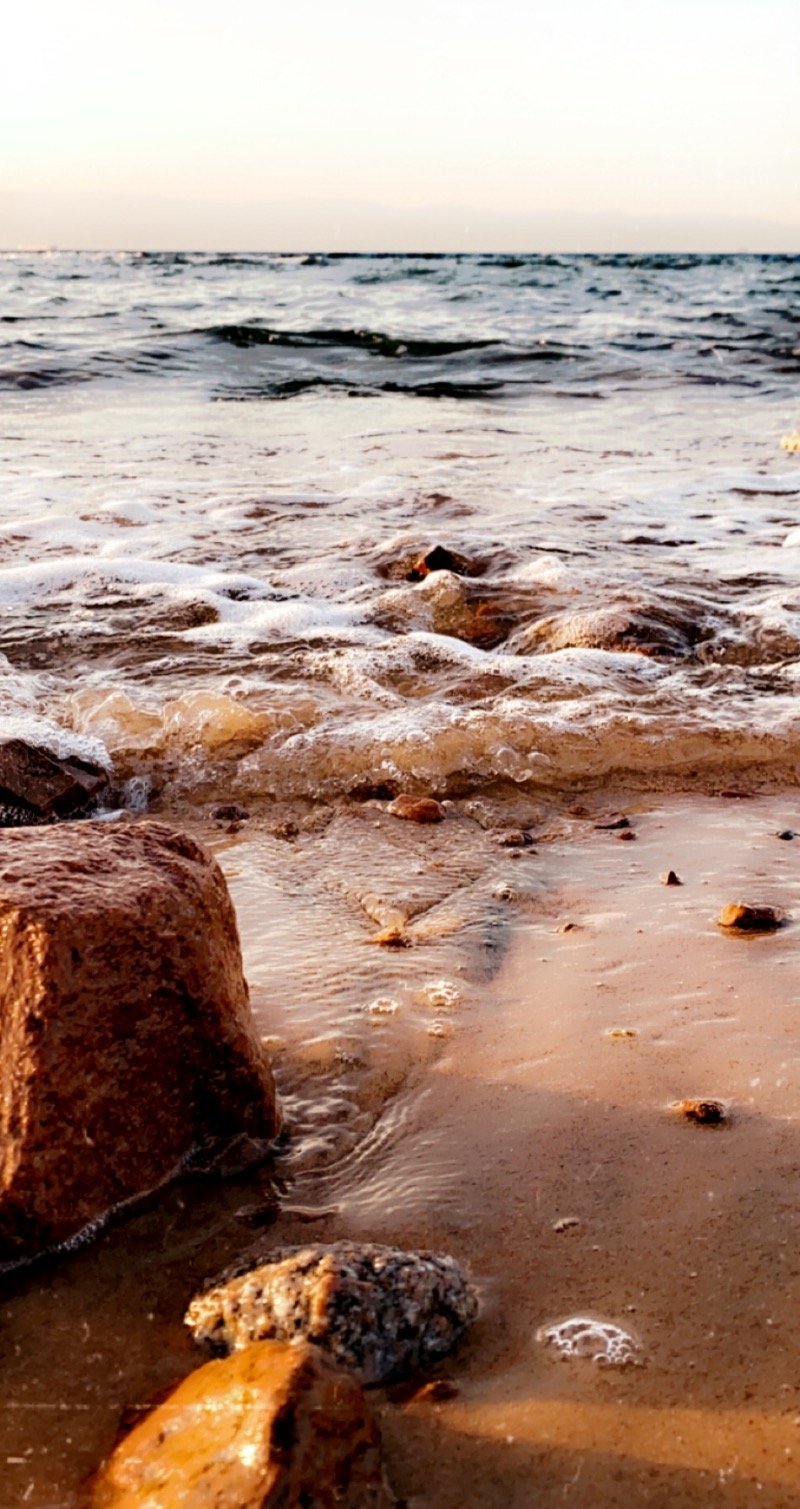 وليد العنزي