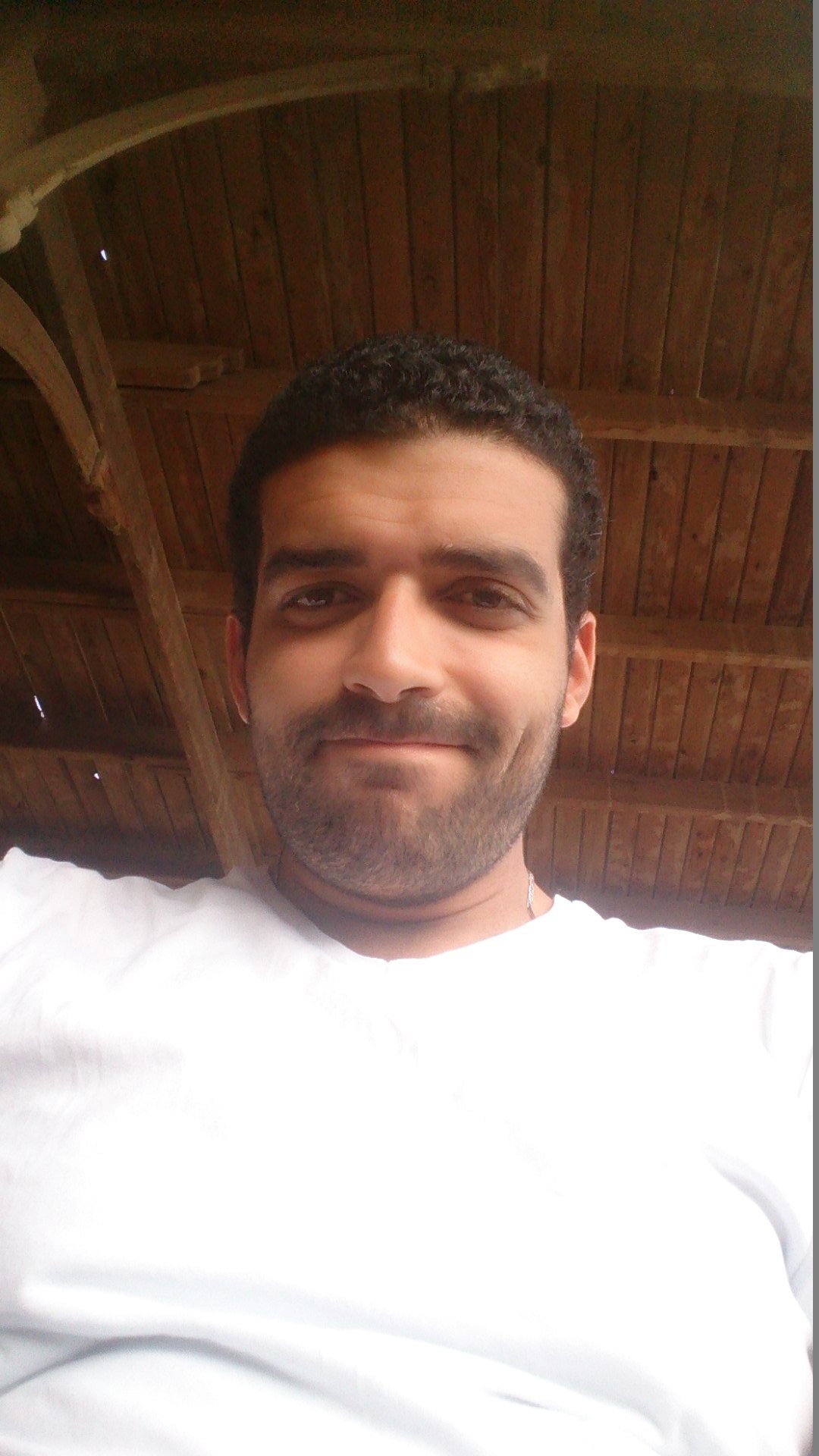 Mahmoud Ismail 