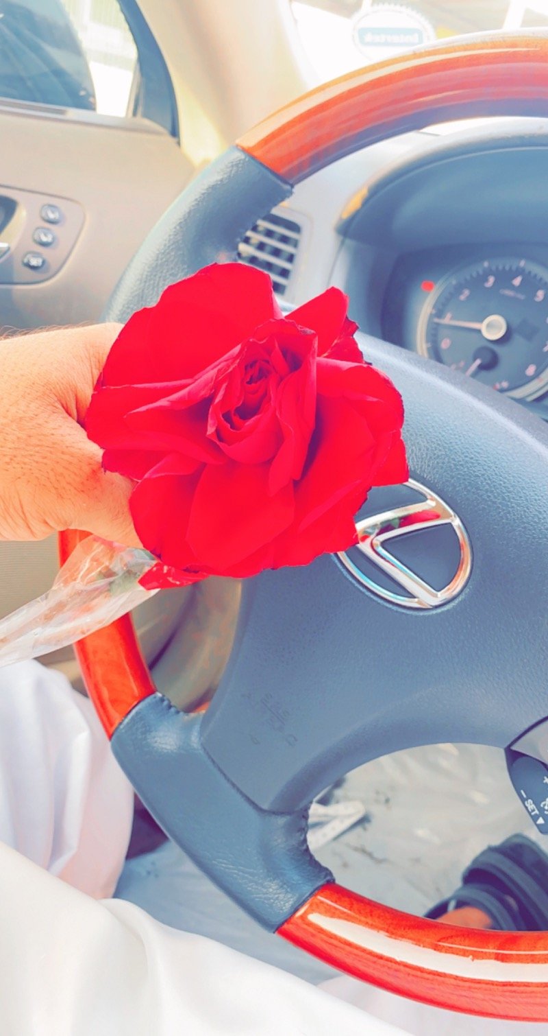 مرجس الرشيدي