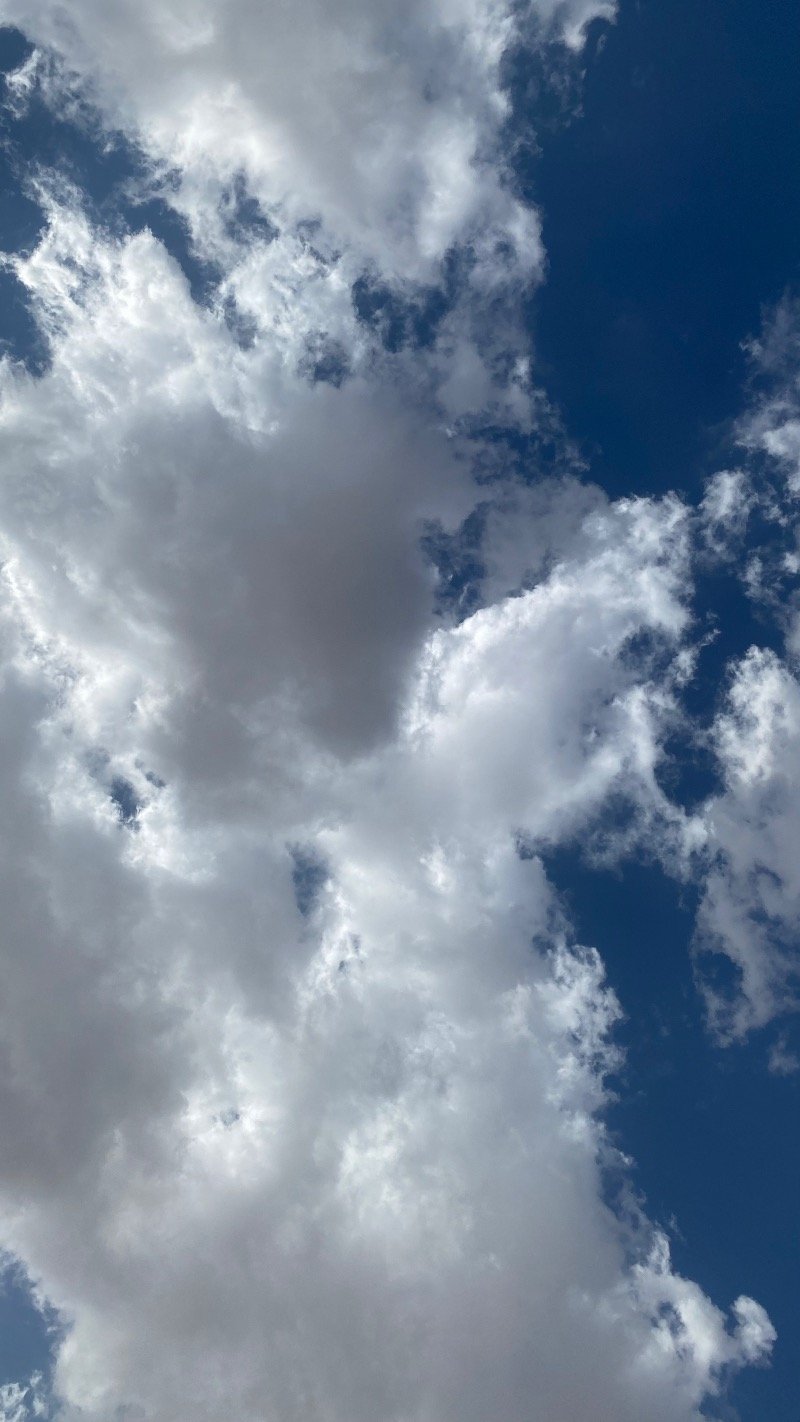 مروان ال رشيدي