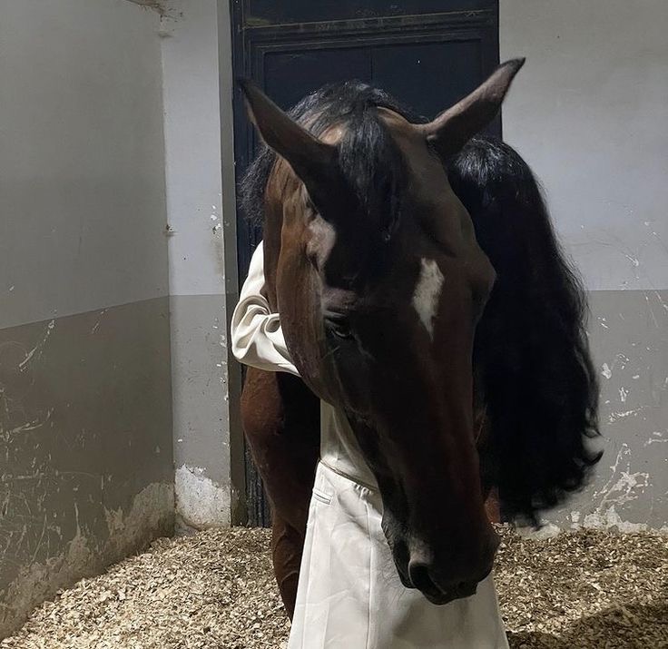 مثايل العتيبي