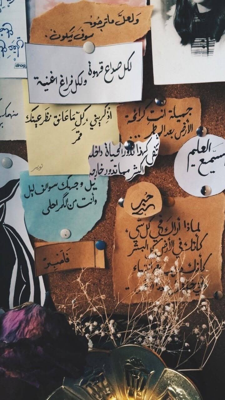 Dyaa kamel Ahmed