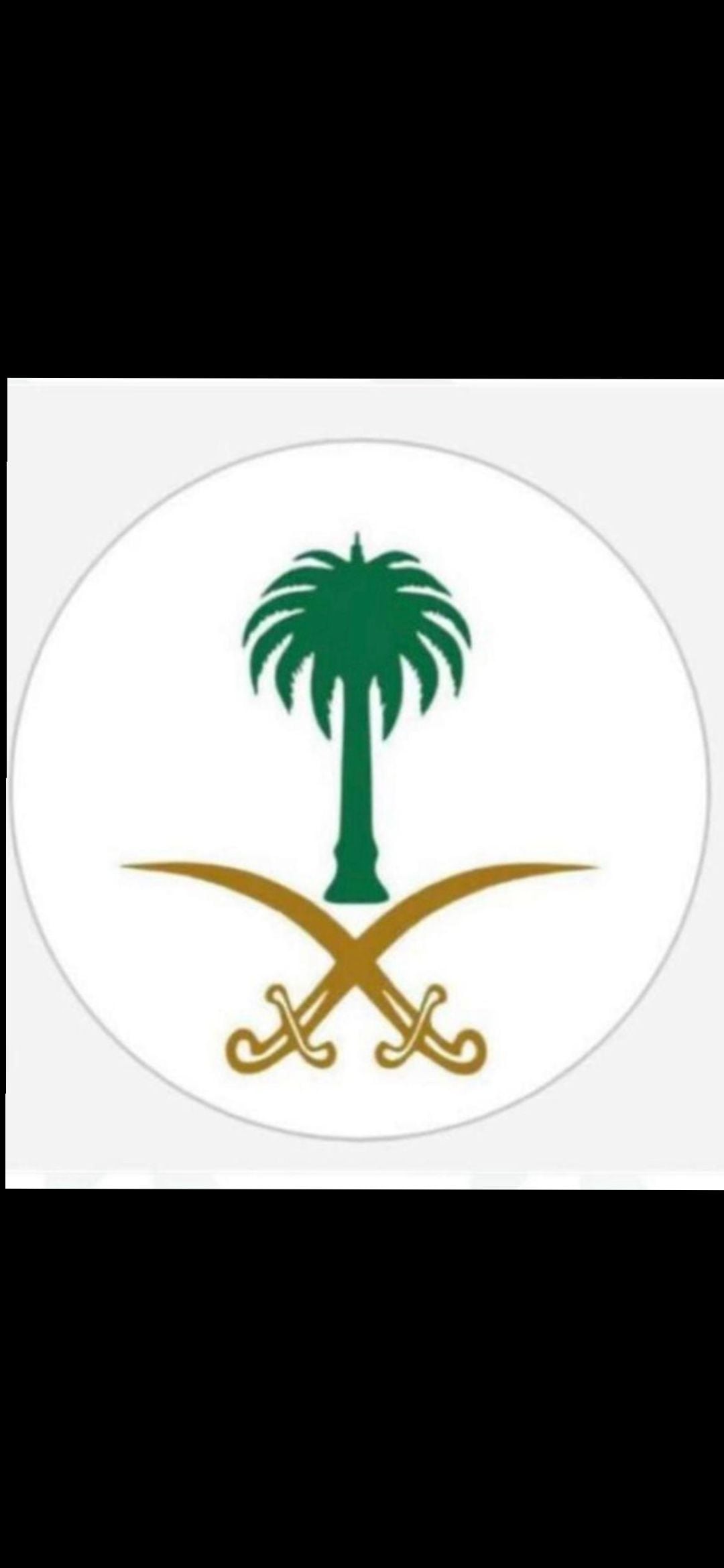 ضياء المصري
