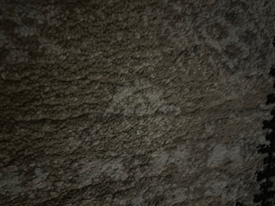 محمد المريحل