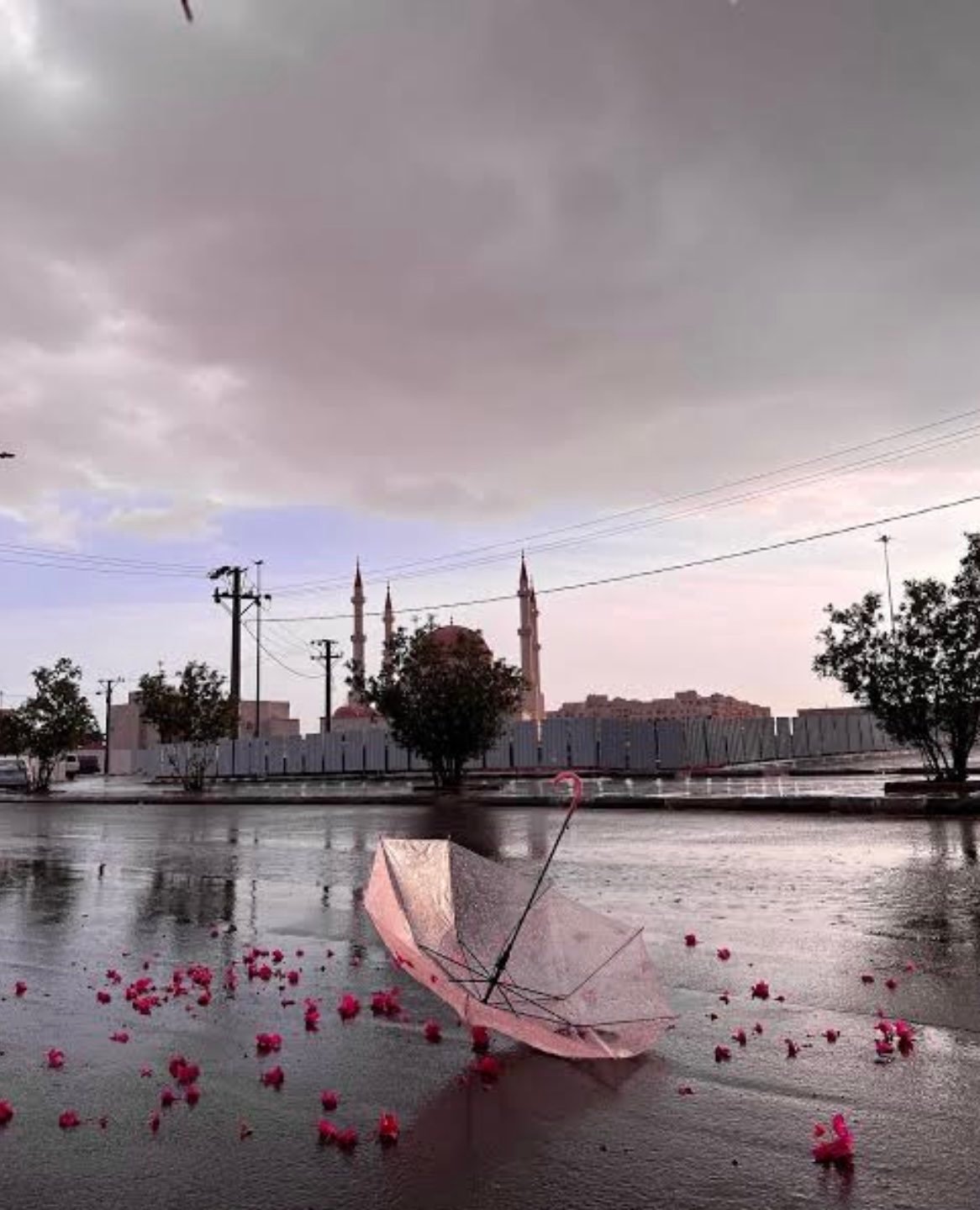 خلود اليامي