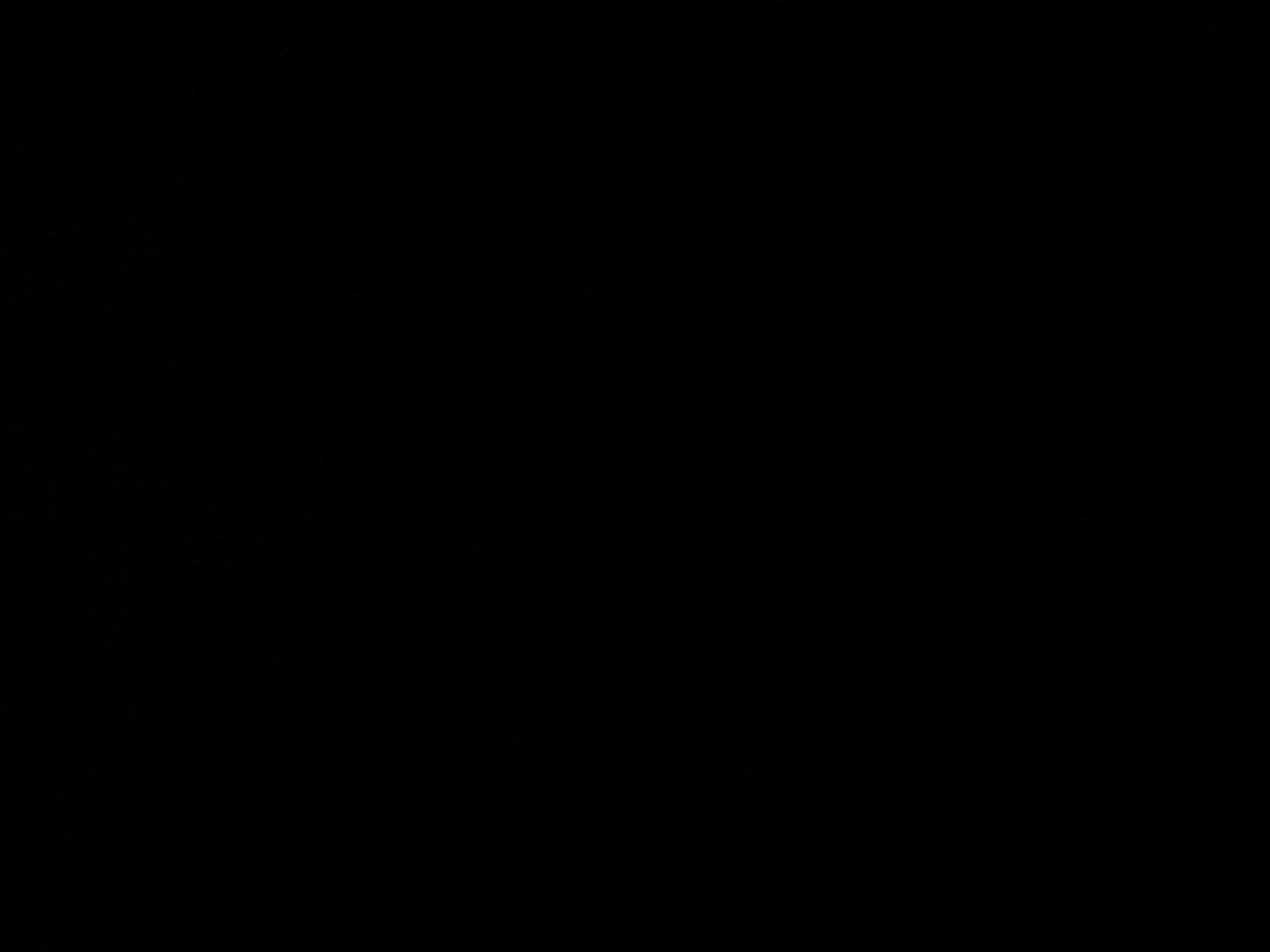 وليد السلطان