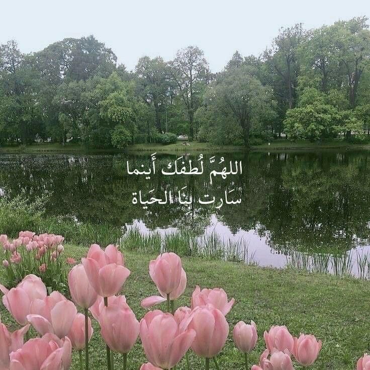 وعد المالكي