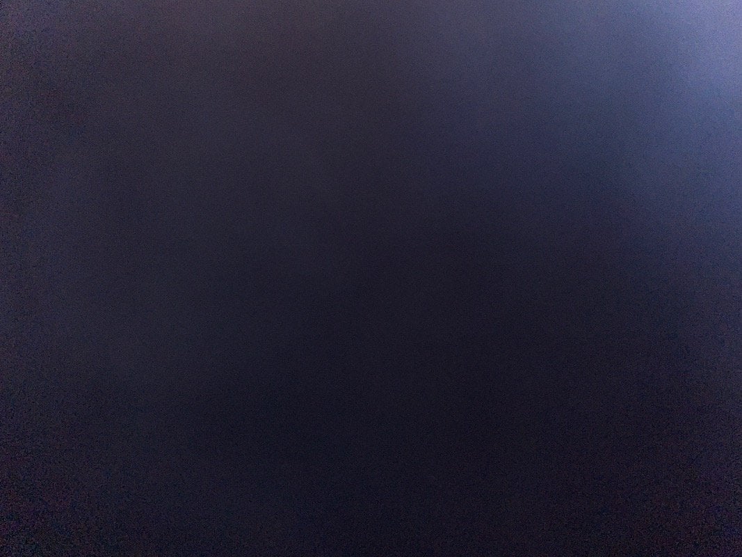 ديما ولي