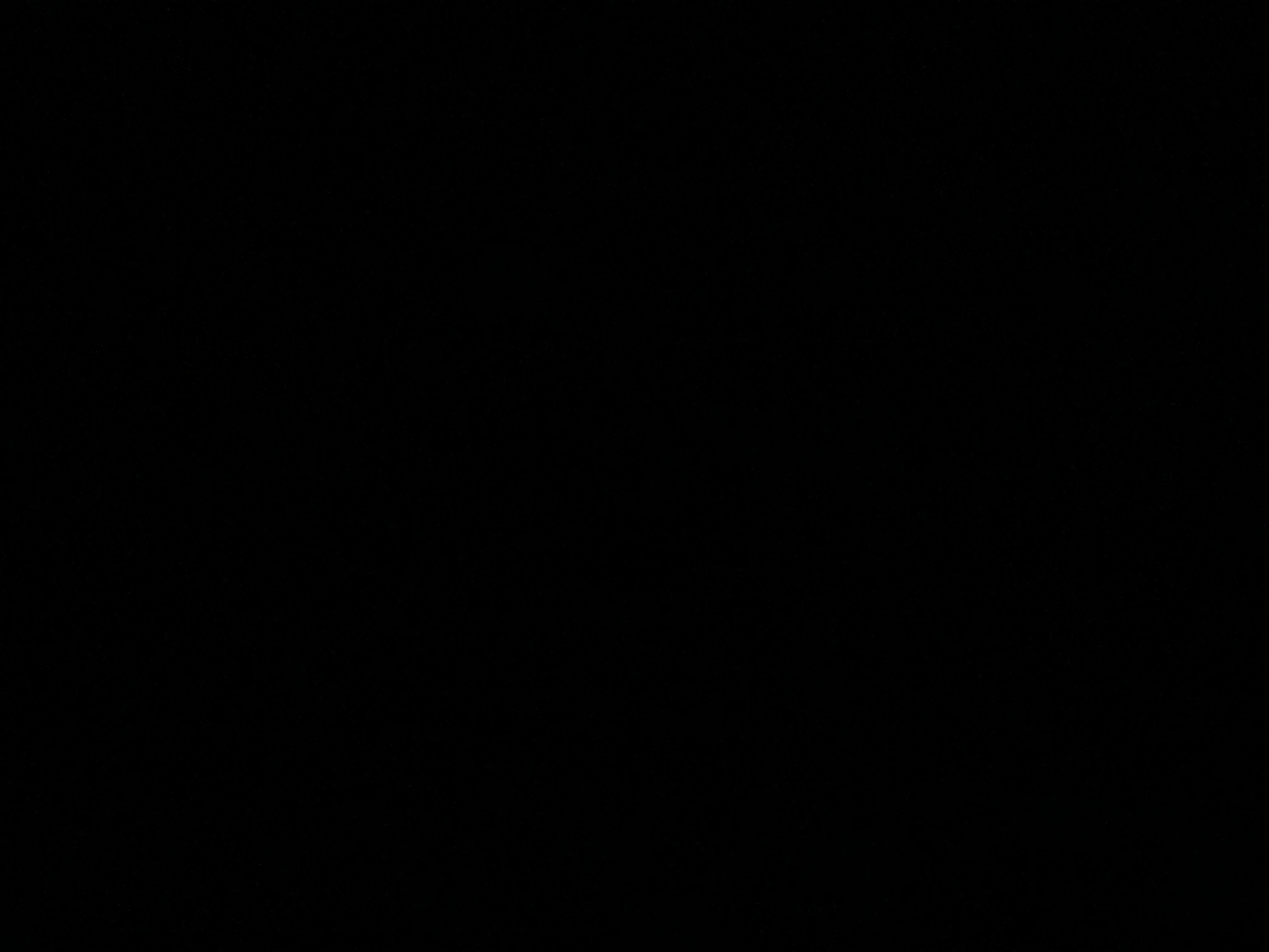 فاطمه kalid