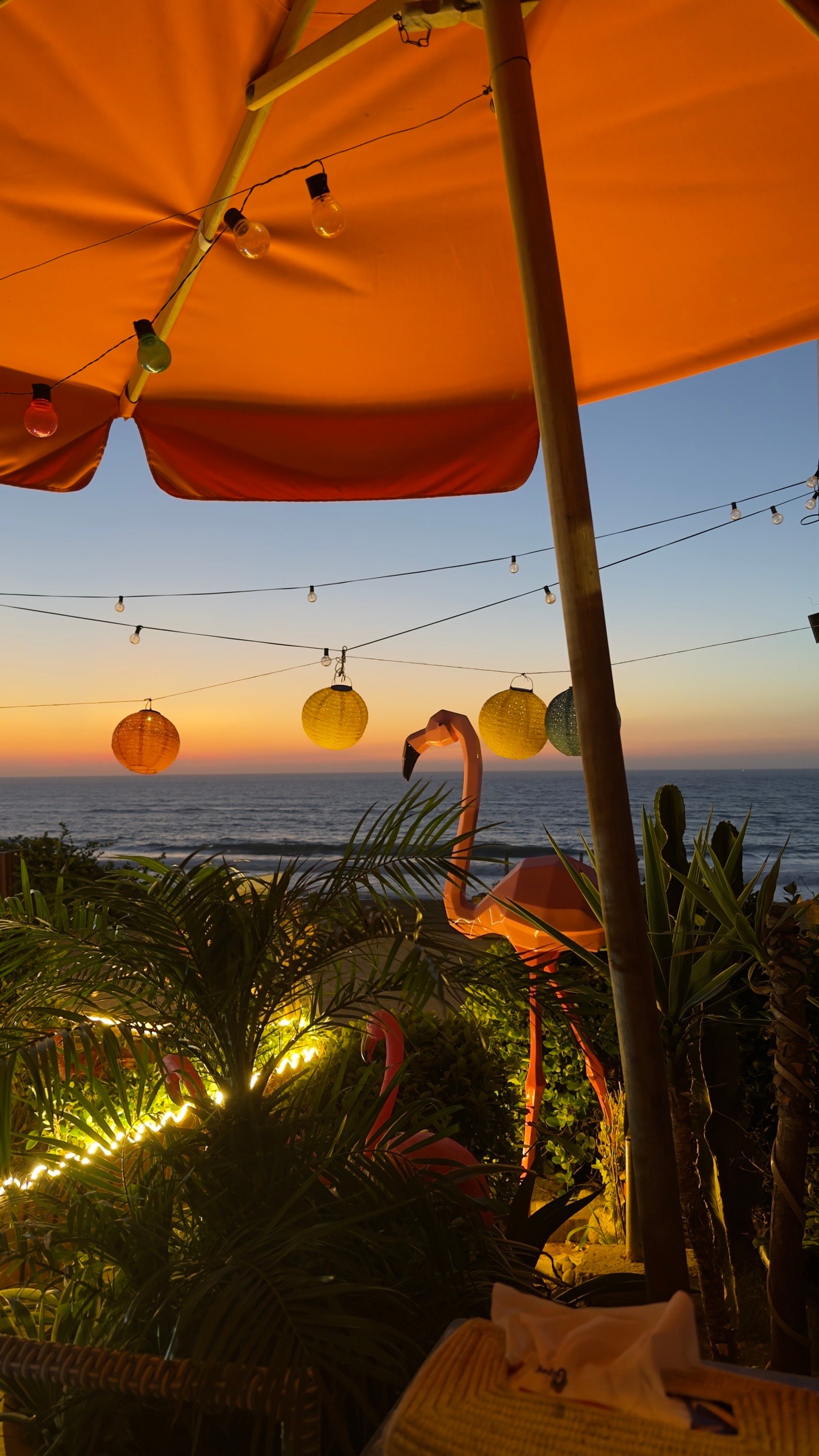 سيدرا عبدالعزيز