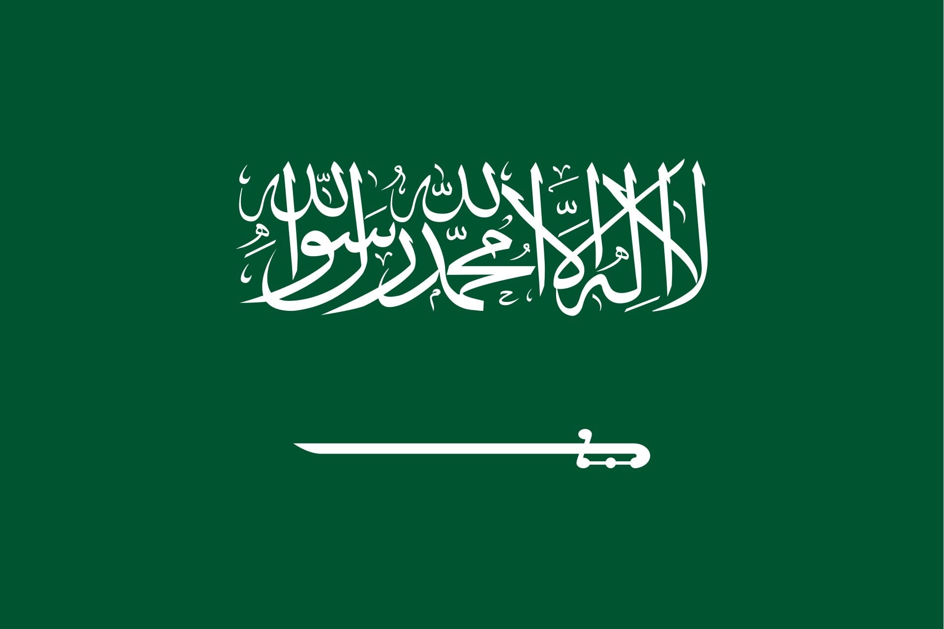 Ali Alzhrani