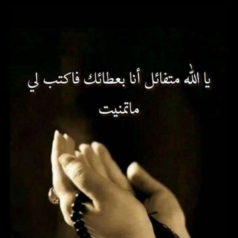 ام دانيال قاسم