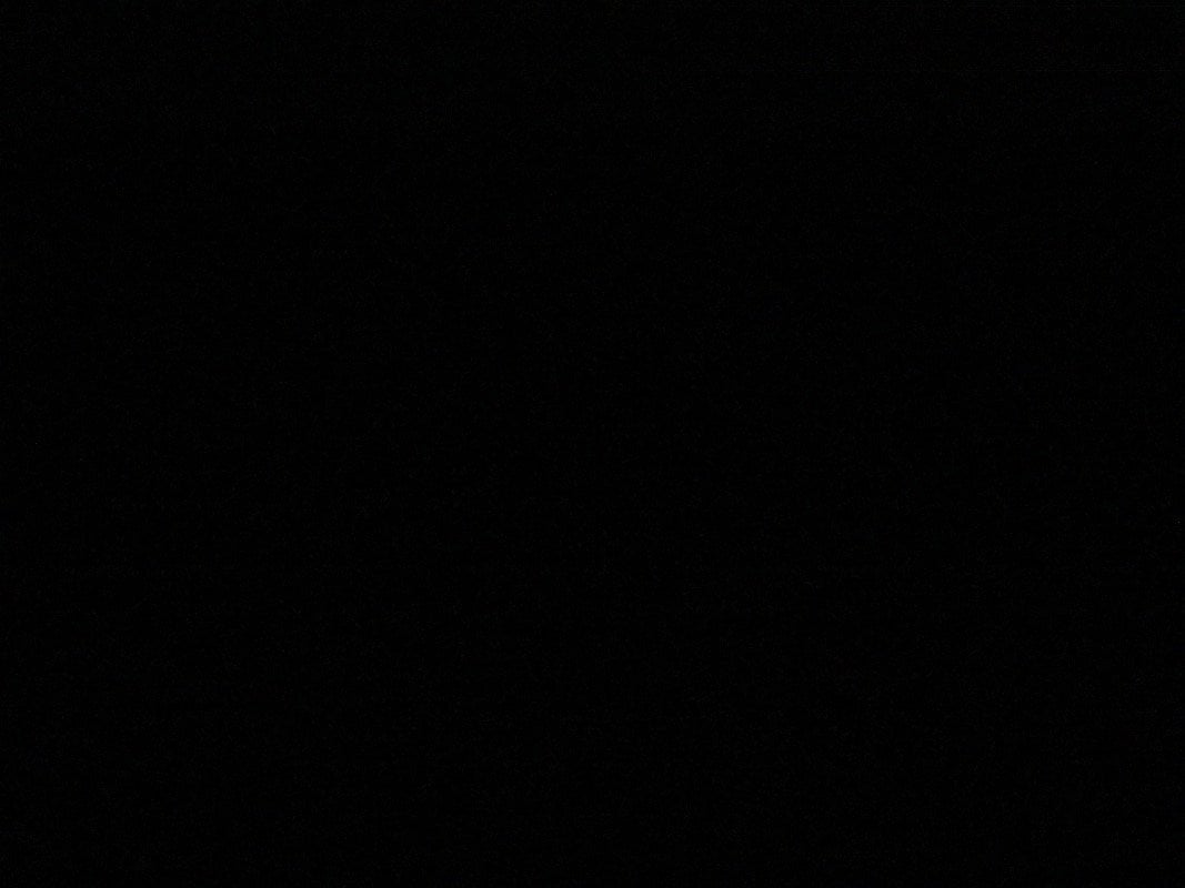 احمد الحارثي