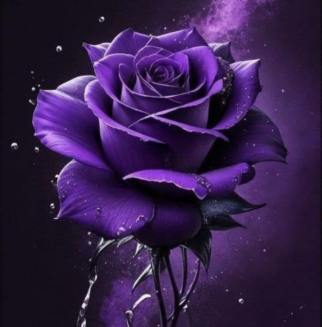 فهد عبدالرحمن