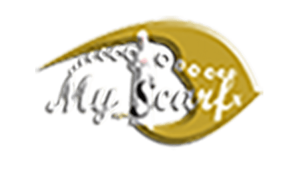 myscarf ماي سكارف