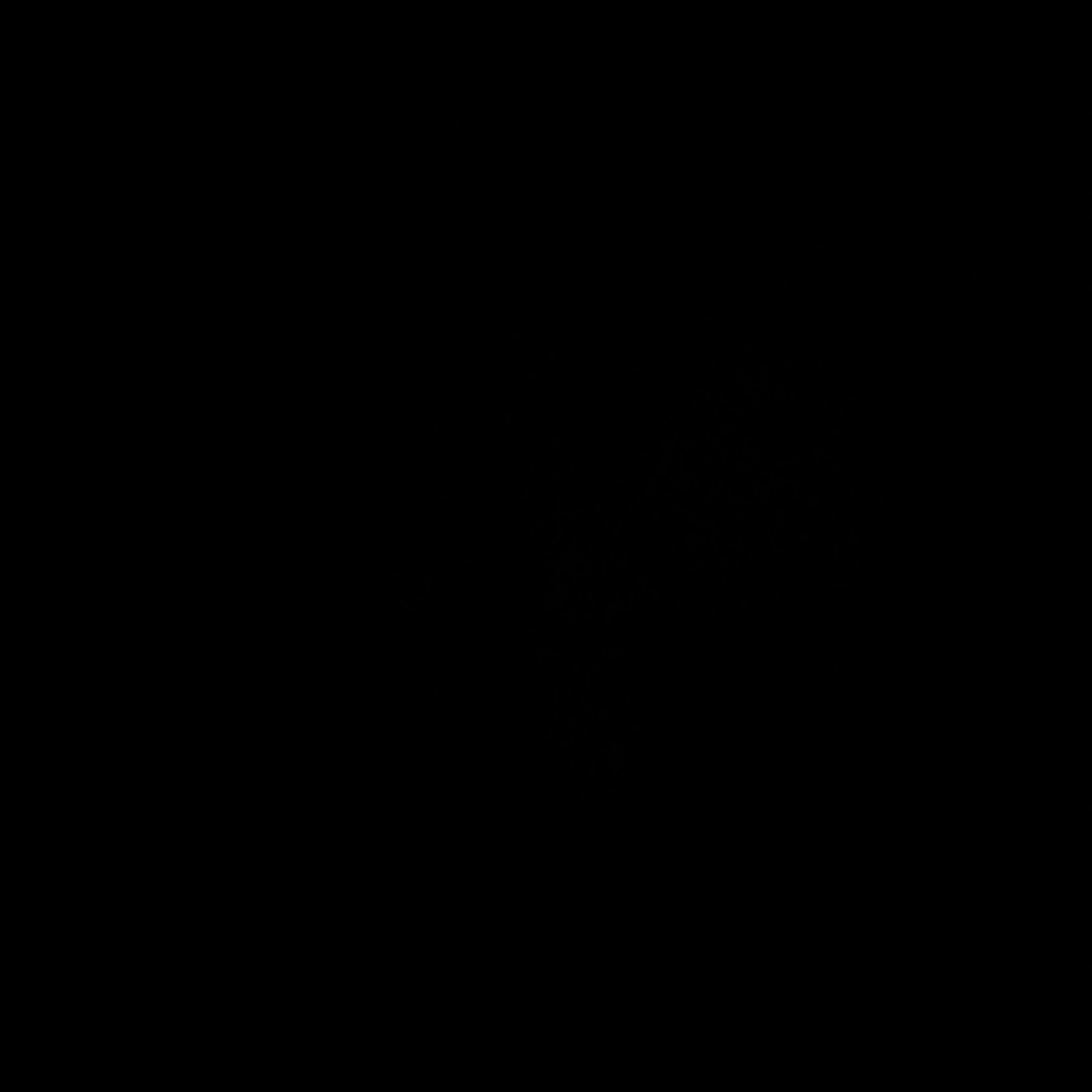 سميه القحطاني