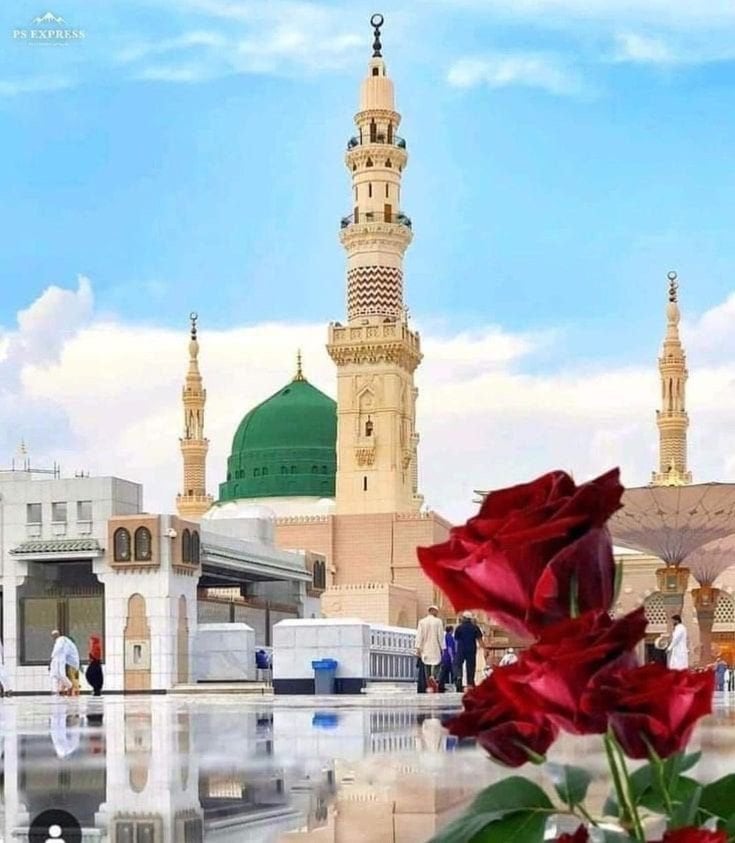 احمد مخلف عودة