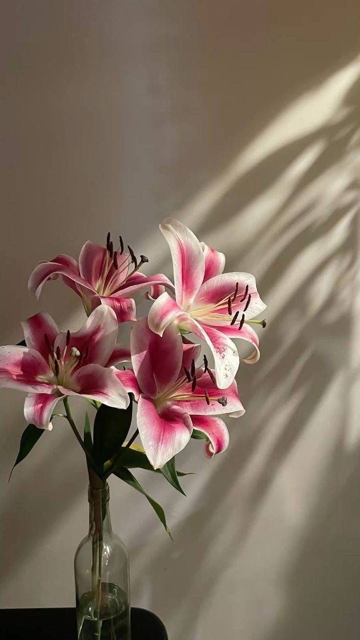 روان الشهري