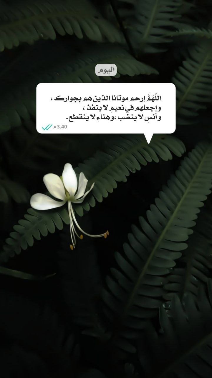 علي علي