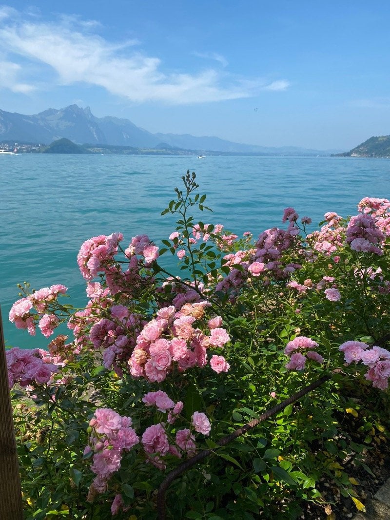 ساره القحطاني