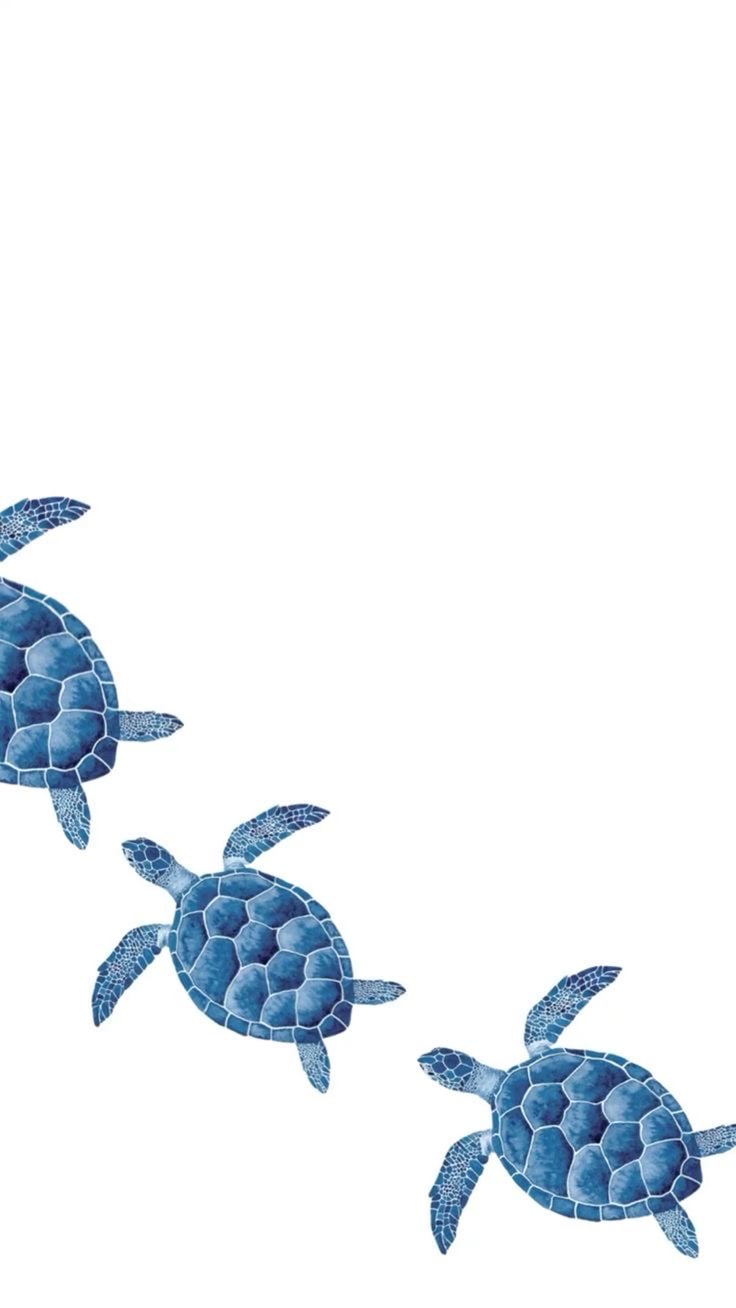 حصه الجبهان