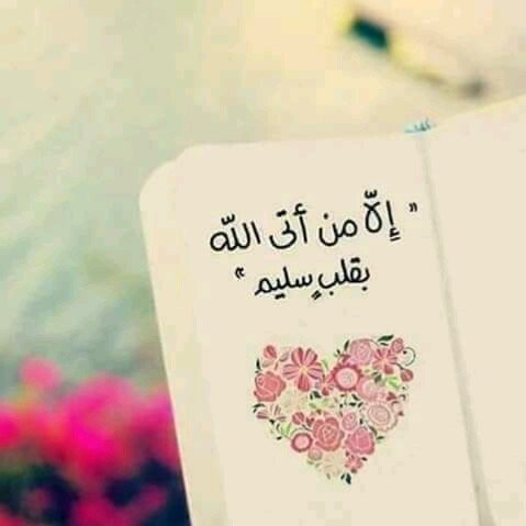 ام حور الحربي