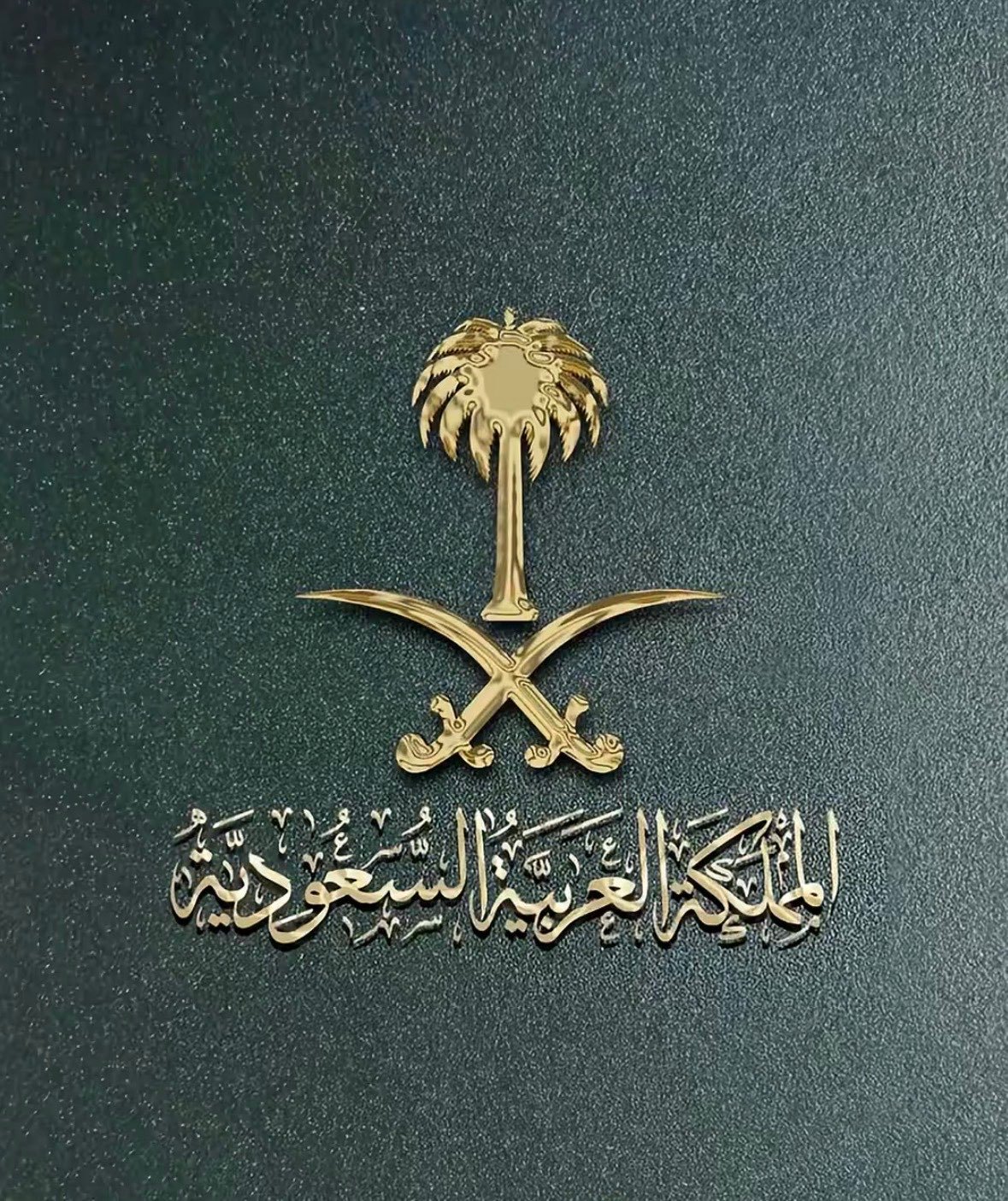 ام زياد الزهراني