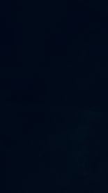 نوال الحربي