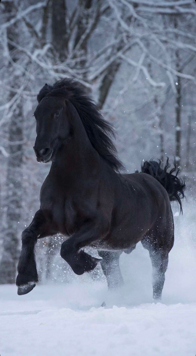 عبدالله الزهراني