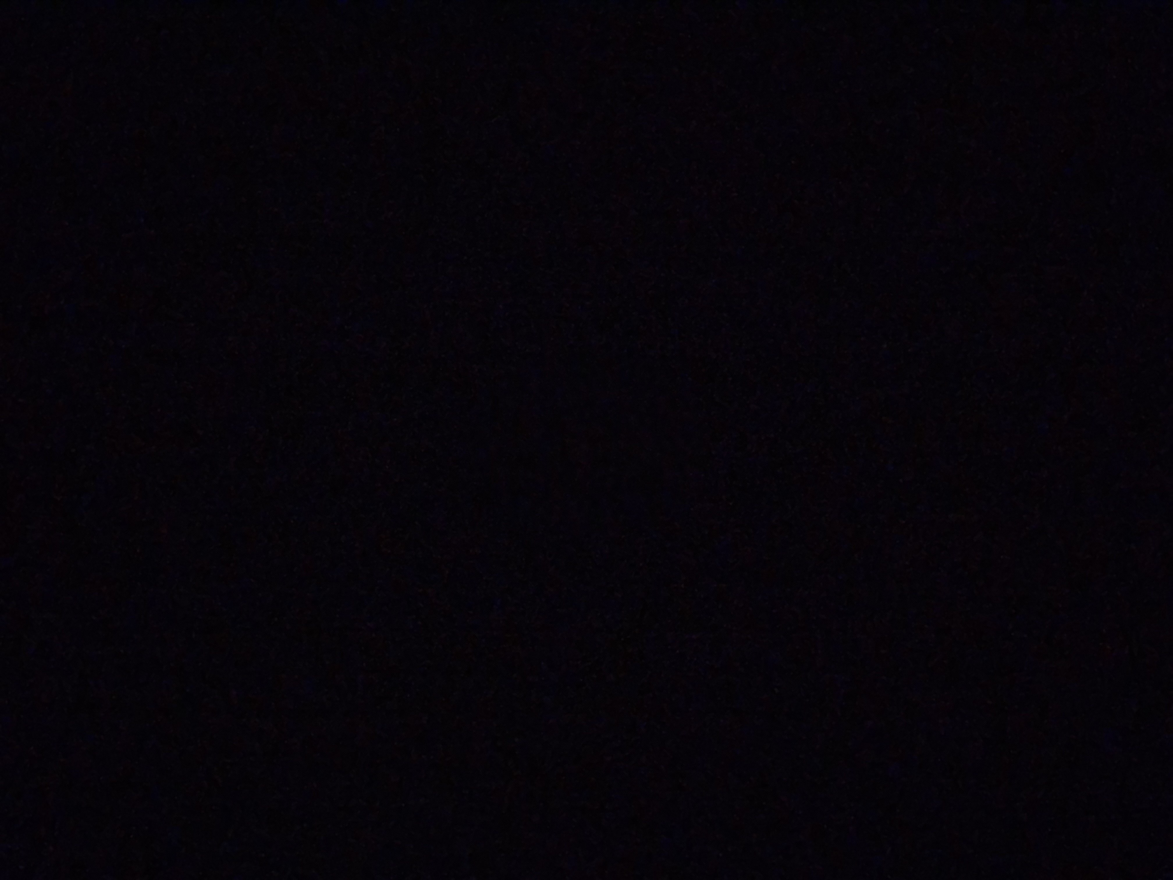 أسماء تاج الدين