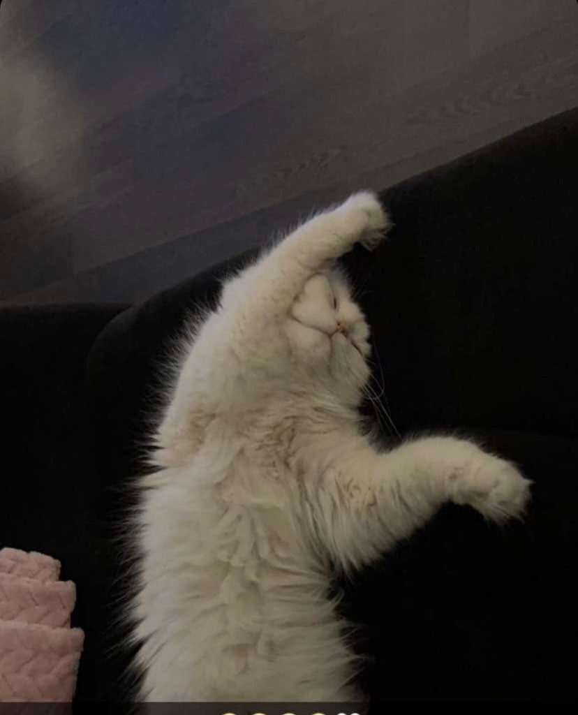 مضاوي والقمر ضاوي